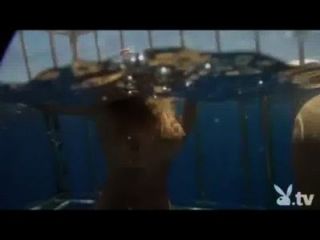 bikini sharking