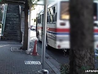 asian bus